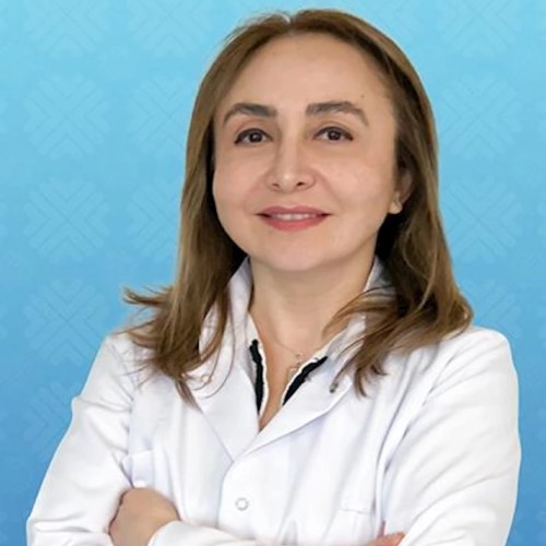 Prof. Dr. Ayşin Karasoy Yeşilada